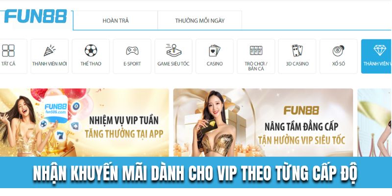 Nhận khuyến mãi thành viên VIP theo từng cấp độ tại nhà cái