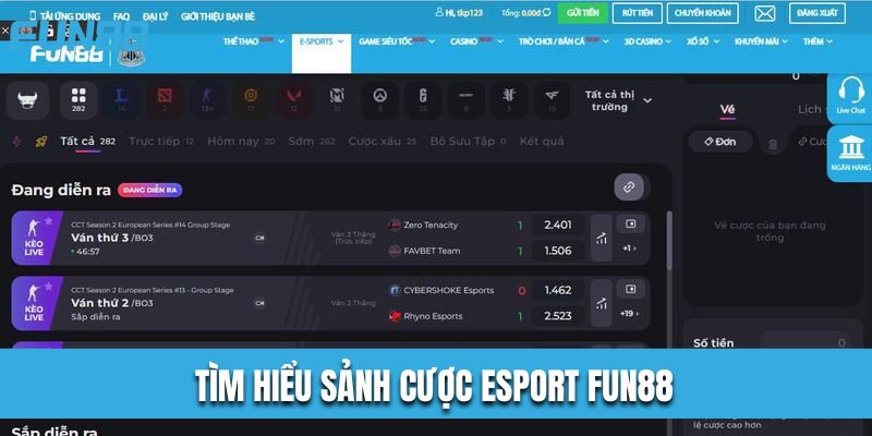 Tìm Hiểu Sảnh Cược Esport Fun88